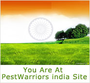 Pest Warriors in India Pest Warriors in India